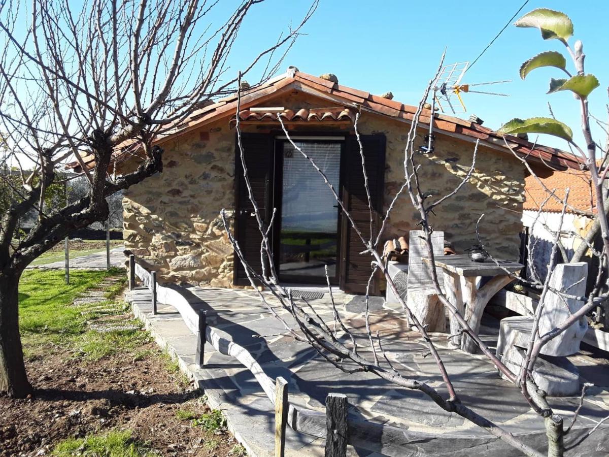 A Casa Do Moinho Daire Pedrógão Pequeno Dış mekan fotoğraf